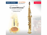 CannWood Saxophone_ _ Professional Class _ CSS_8700GL _